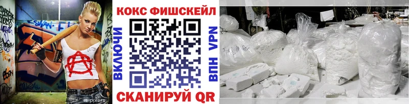 COCAIN Fish Scale  цены   Яхрома 