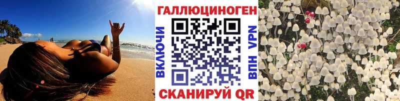 Галлюциногенные грибы Psilocybine cubensis Яхрома
